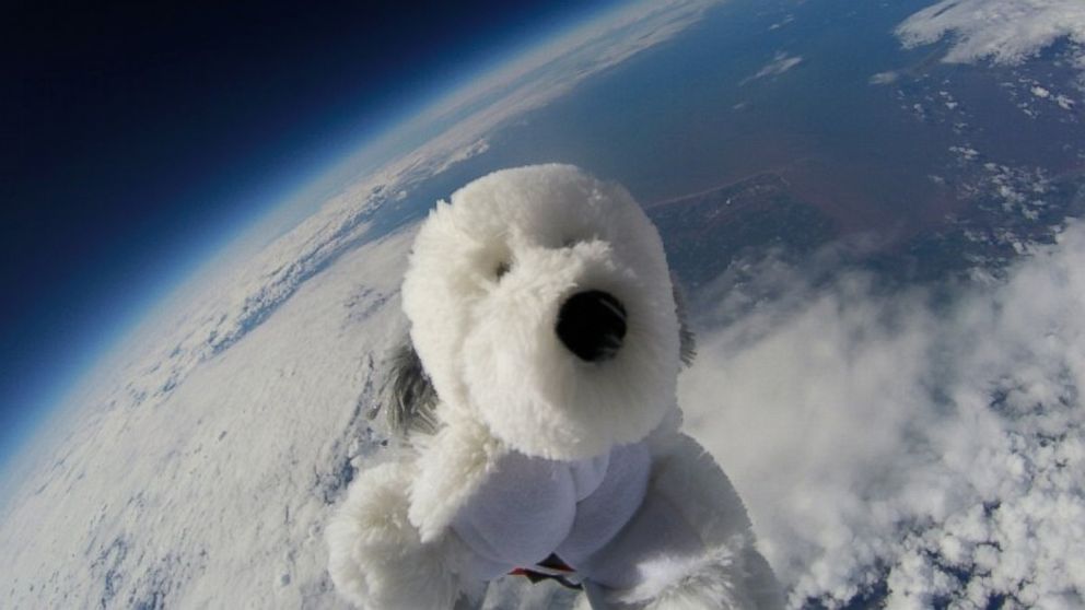 Stuffed Animal Makes Epic Journey to the Edge of Space in Amazing Video -  ABC News