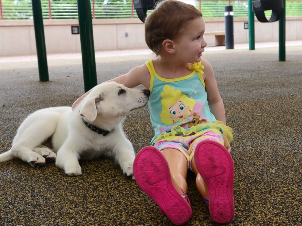 PHOTO: Sapphyre Johnson, 3, meets her new puppy Lt. Dan at the Shriners Hospital for Children in Greenville, S.C. on April 20, 2015.