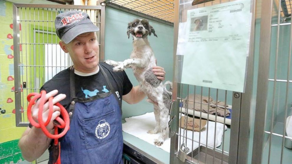 Mark Imhof, 45, of New York, New York, travels to nearby shelters giving free haircuts to dogs in need of forever homes.