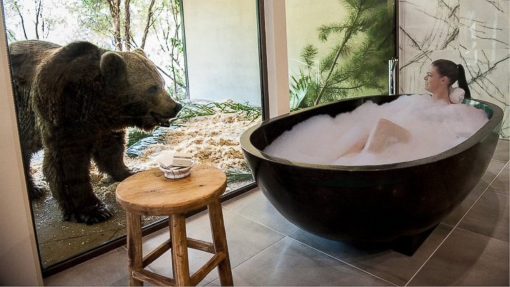 The Jamala Wildlife Lodge in Canberra, Australia, allows guests to stay next to zoo animals.