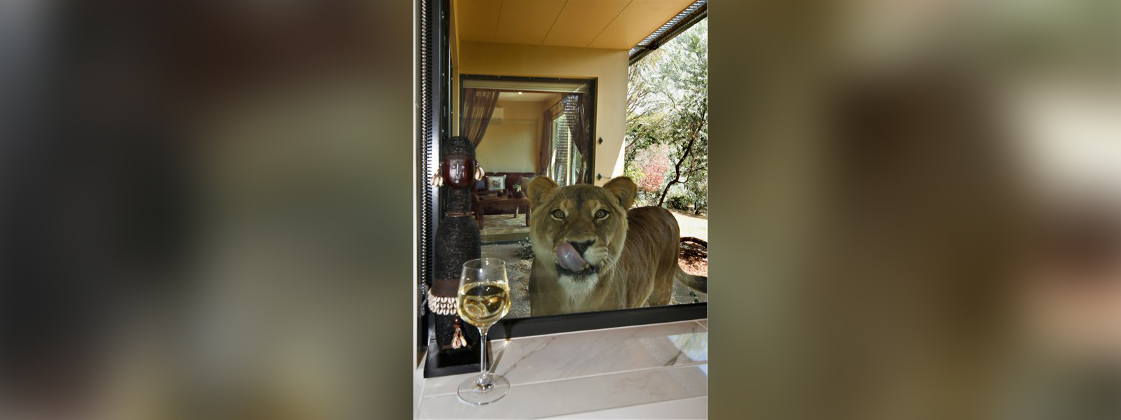 PHOTO: The Jamala Wildlife Lodge in Canberra, Australia, allows guests to stay next to zoo animals.
