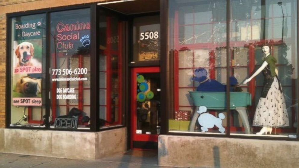 PHOTO: The storefront of the Canine Social Club in Chicago.