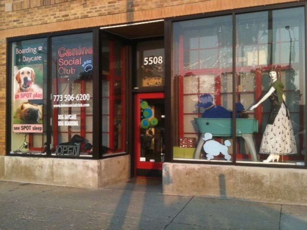 PHOTO: The storefront of the Canine Social Club in Chicago.