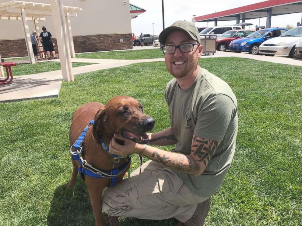 PHOTO: Jake, a 7-year-old Coonhound, was found in Pennsylvania and a group of volunteers worked to get him to his rightful home in Arizona. 