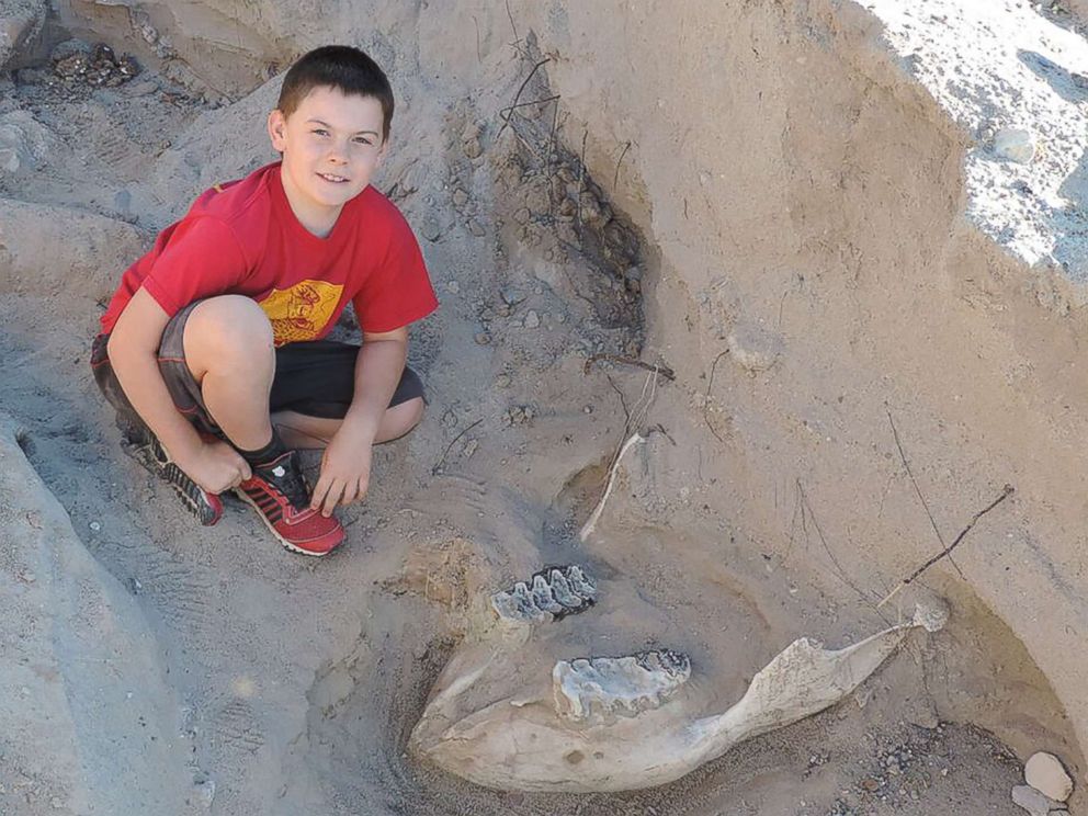 Boy finds  million-year-old fossil while playing outside - ABC News