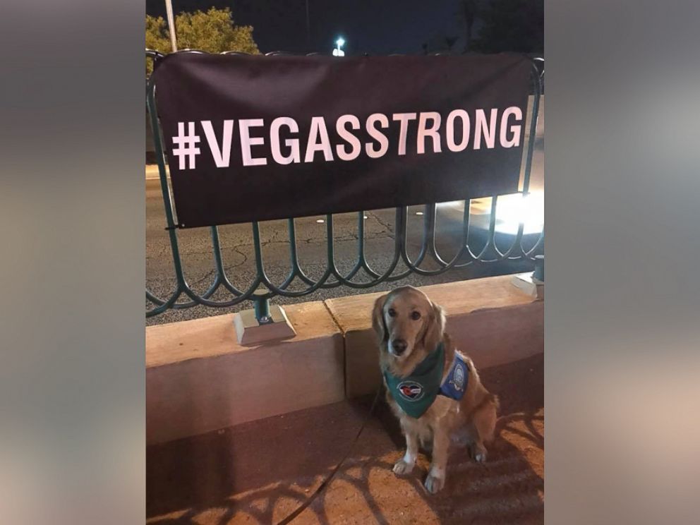 PHOTO: The LCC K-9 Comfort Dogs, affiliated with Lutheran Church Charities, are being used in Las Vegas, Nevada, to help survivors, families of victims, first responders and anyone else affected by the mass shooting that occurred on Oct. 1, 2017.