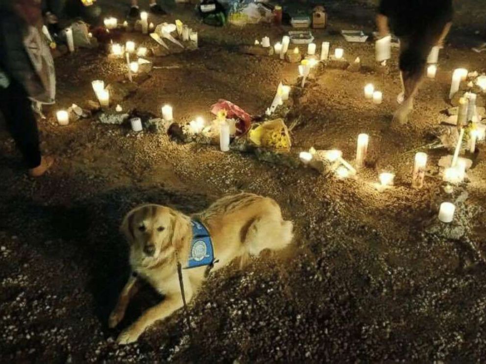 PHOTO: The LCC K-9 Comfort Dogs, affiliated with Lutheran Church Charities, are being used in Las Vegas, Nevada, to help survivors, families of victims, first responders and anyone else affected by the mass shooting that occurred on Oct. 1, 2017.