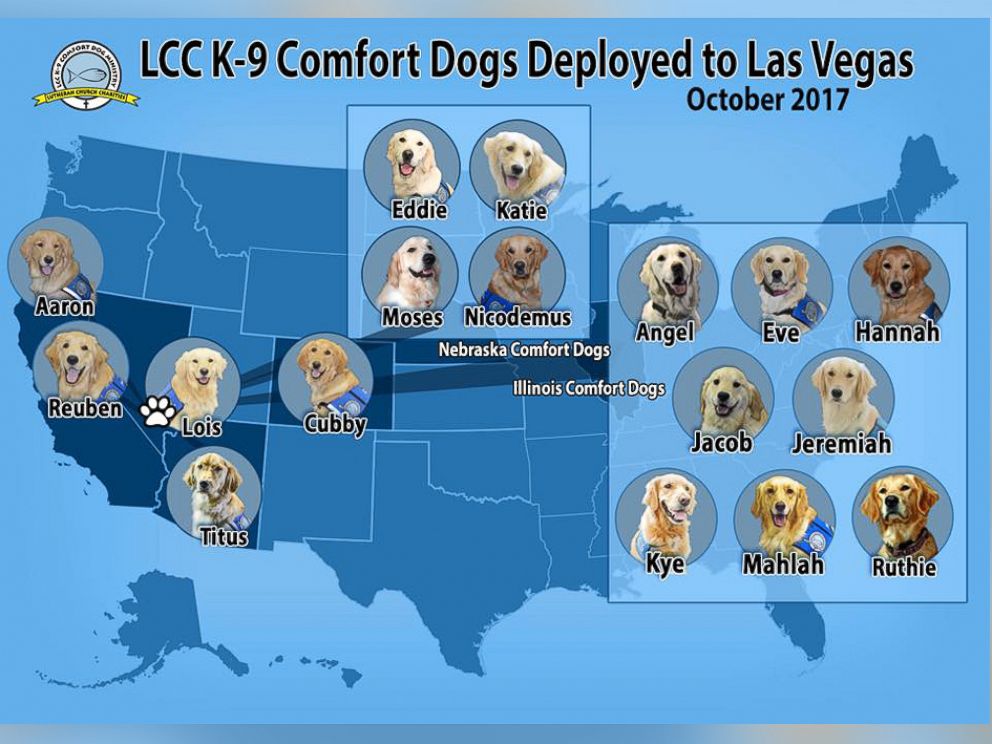 PHOTO: The LCC K-9 Comfort Dogs, affiliated with Lutheran Church Charities, are being used in Las Vegas, Nevada, to help survivors, families of victims, first responders and anyone else affected by the mass shooting that occurred on Oct. 1, 2017.