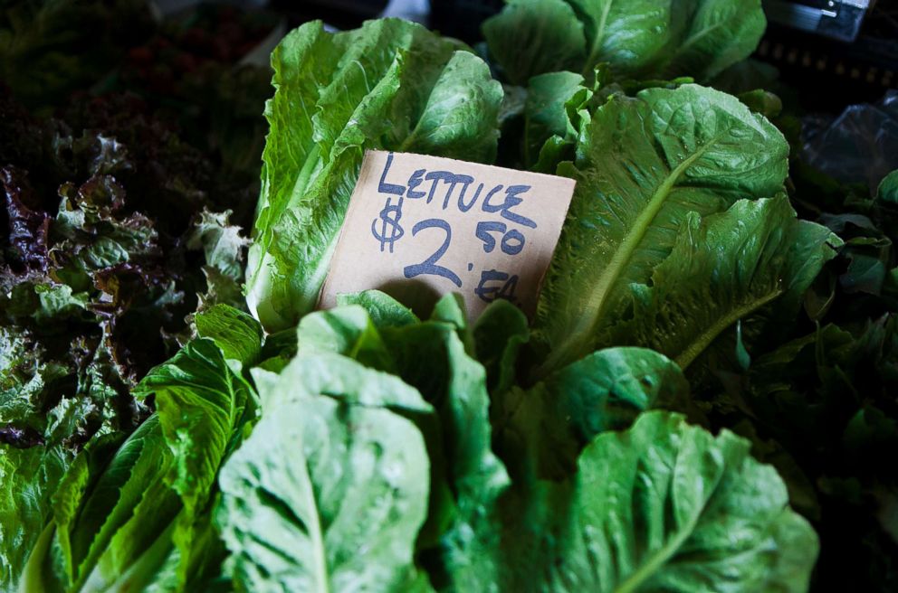 PHOTO: Lettuce is displayed for sale at the San Diego Public Farmers Market in San Diego, Sept. 26, 2012.