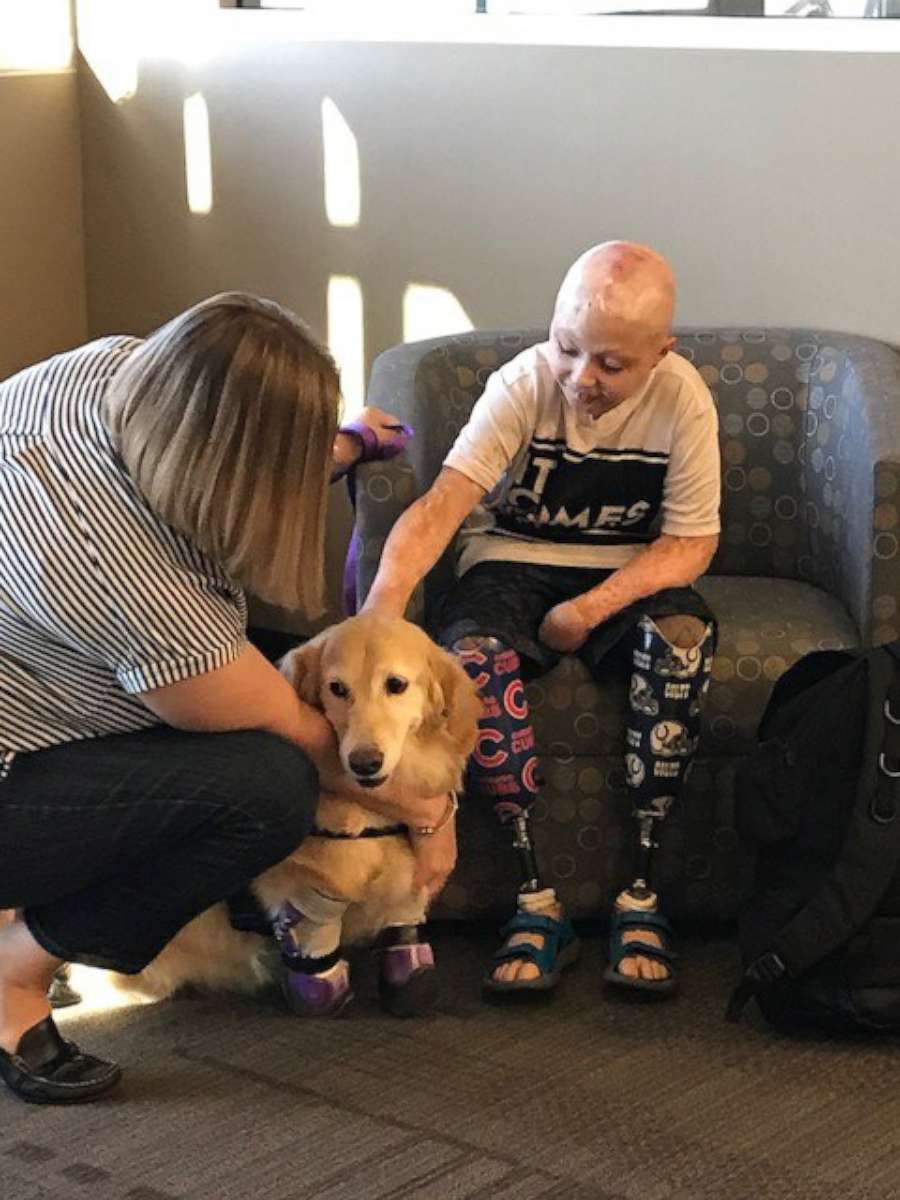 PHOTO: Owen Mahan, 10, traveled to Phoenix to meet Chi Chi, a quadruple amputee dog.