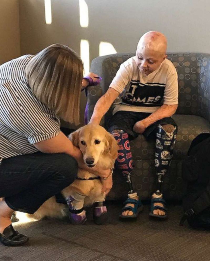 PHOTO: Owen Mahan, 10, traveled to Phoenix to meet Chi Chi, a quadruple amputee dog.