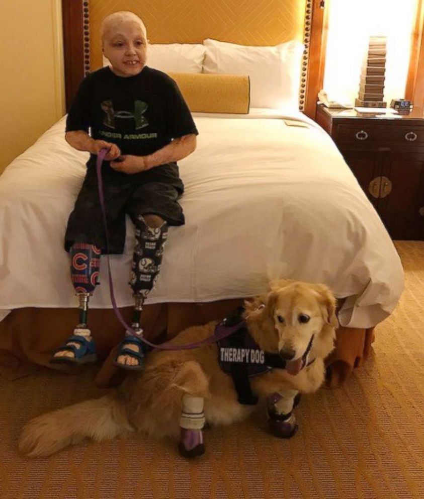 PHOTO: Owen Mahan, 10, meets Chi Chi, a quadruple amputee dog.
