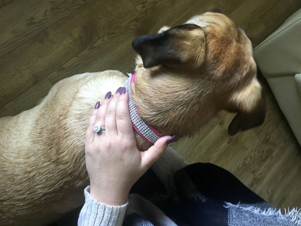 PHOTO: Darion Getzinger shows off her diamond ring with Maia's new pink rhinestone collar.