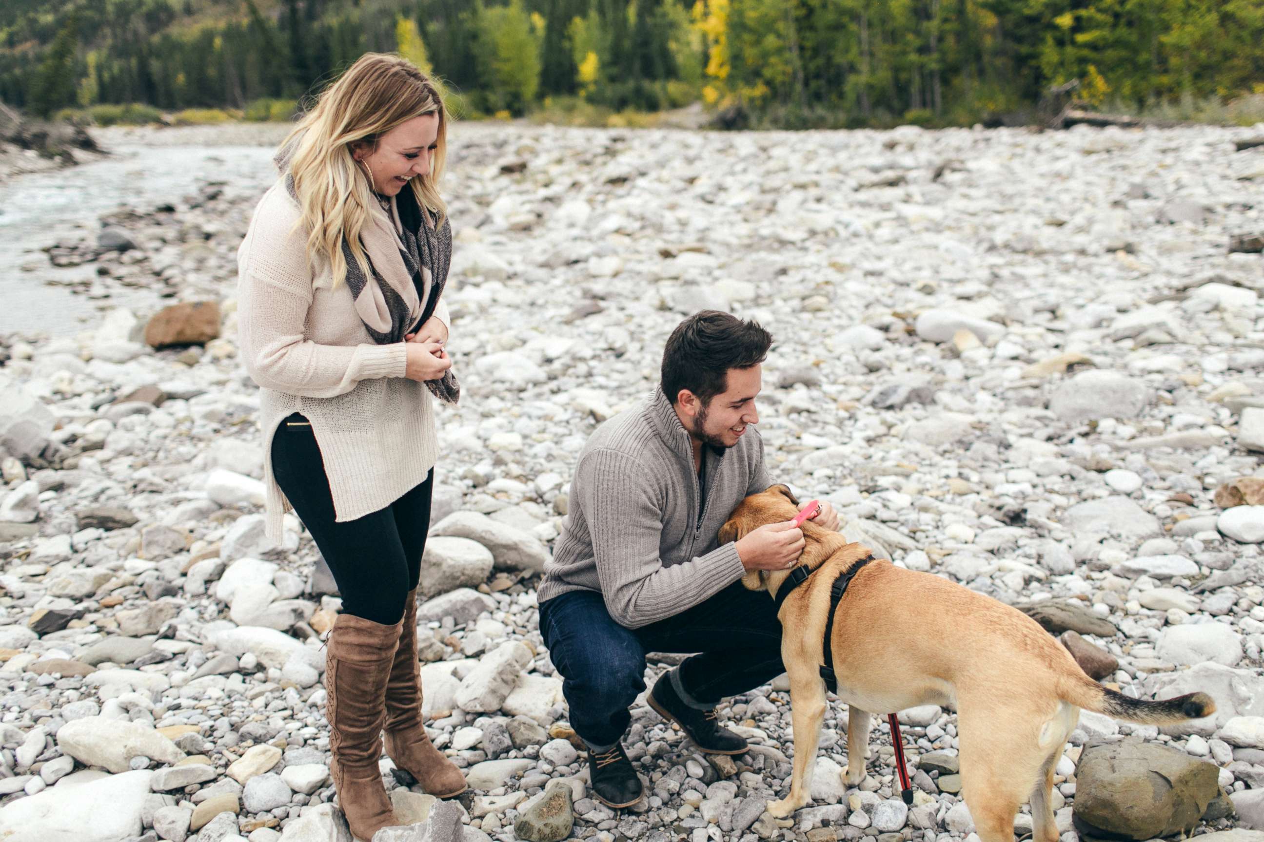 PHOTO: Ryan Balfour proposed to his fiance, Darion Getzinger, before proposing to their dog, Maia, with a pink rhinestone collar in Alberta, Canada, on Sept. 24.