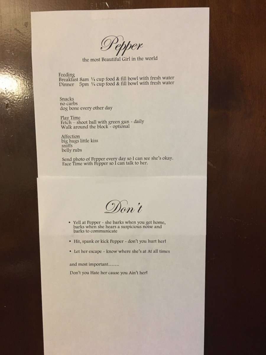 PHOTO: Tommy Rios' aunt Elaine wrote him a now viral list of rules when he watched her dog Pepper for the first time July 10, 2017.