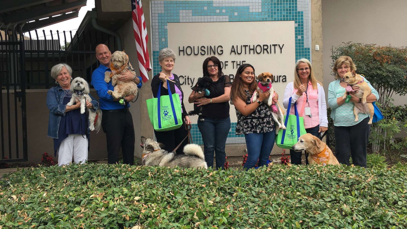 PHOTO: Coworkers show their dogs during Take Your Dog to Work Day.