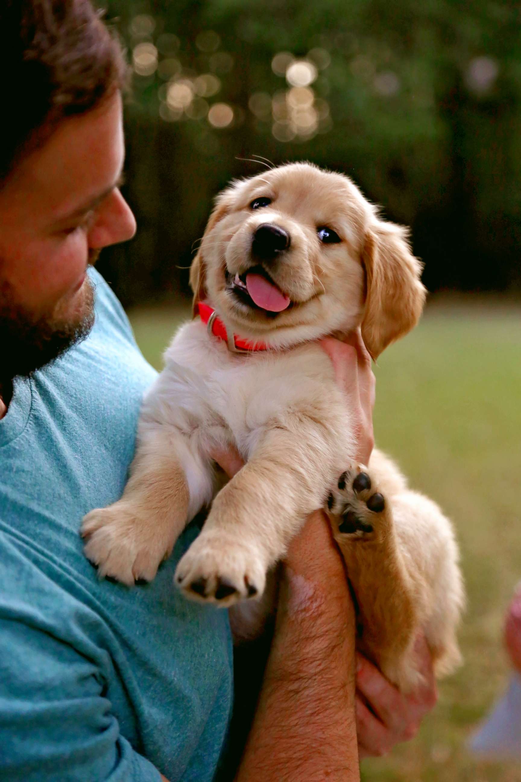 PHOTO: Davis Smith of Clemson, South Carolina, loves his new puppy, Molly, so much, he hired a professional photographer to capture photos.