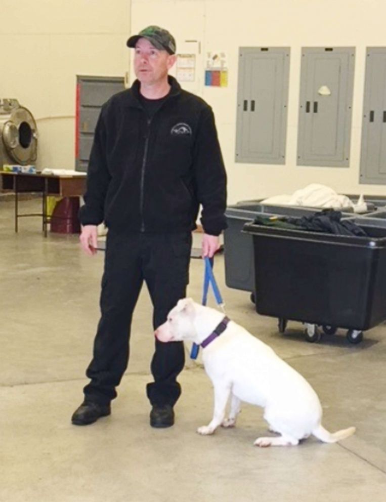 PHOTO: Ghost works alongside Joe Henderson, a K-9 handler for almost 10 years.