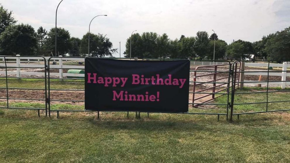 PHOTO: The owners of Sunnyside Stables in Rosemount, Minnesota, threw their rescue cow, Minnie Moo, a special first birthday party.