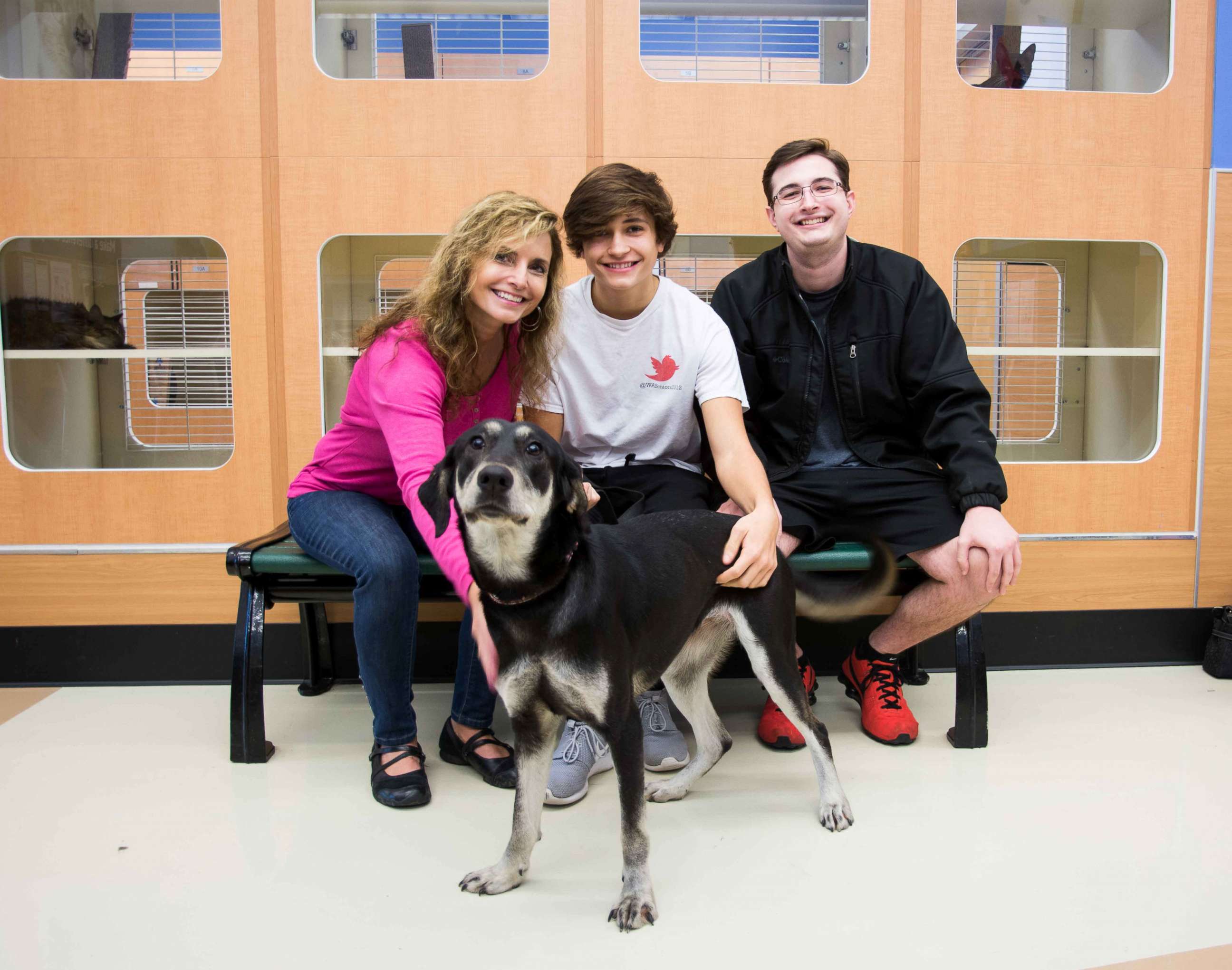 PHOTO: From Nov. 18 to 25, the dogs will get a break from the shelter to enjoy their new families.