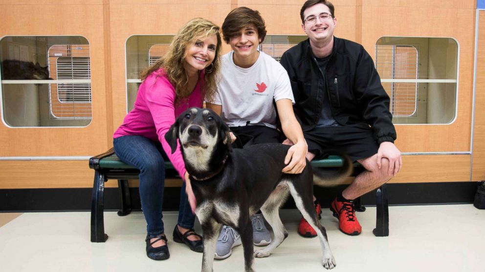 PHOTO: From Nov. 18 to 25, the dogs will get a break from the shelter to enjoy their new families.