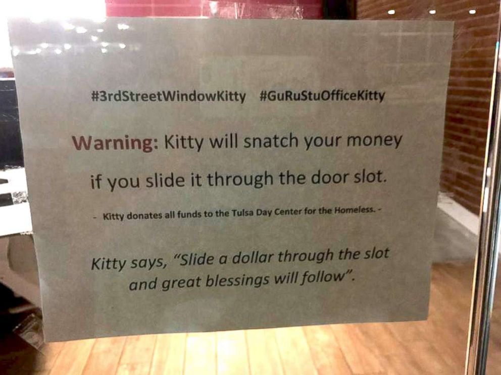 PHOTO: Sir Whines A Lot, also known as the Cashnip Kitty, snatches dollar bills from locals who offer the money through the slot on the door of GuRuStu, a full service marketing firm in Tulsa, Okla.