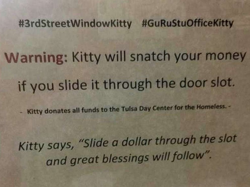 PHOTO: Sir Whines A Lot, also known as the "Cashnip Kitty," snatches dollar bills from locals who offer the money through the slot on the door of GuRuStu, a full service marketing firm in Tulsa, Okla. 