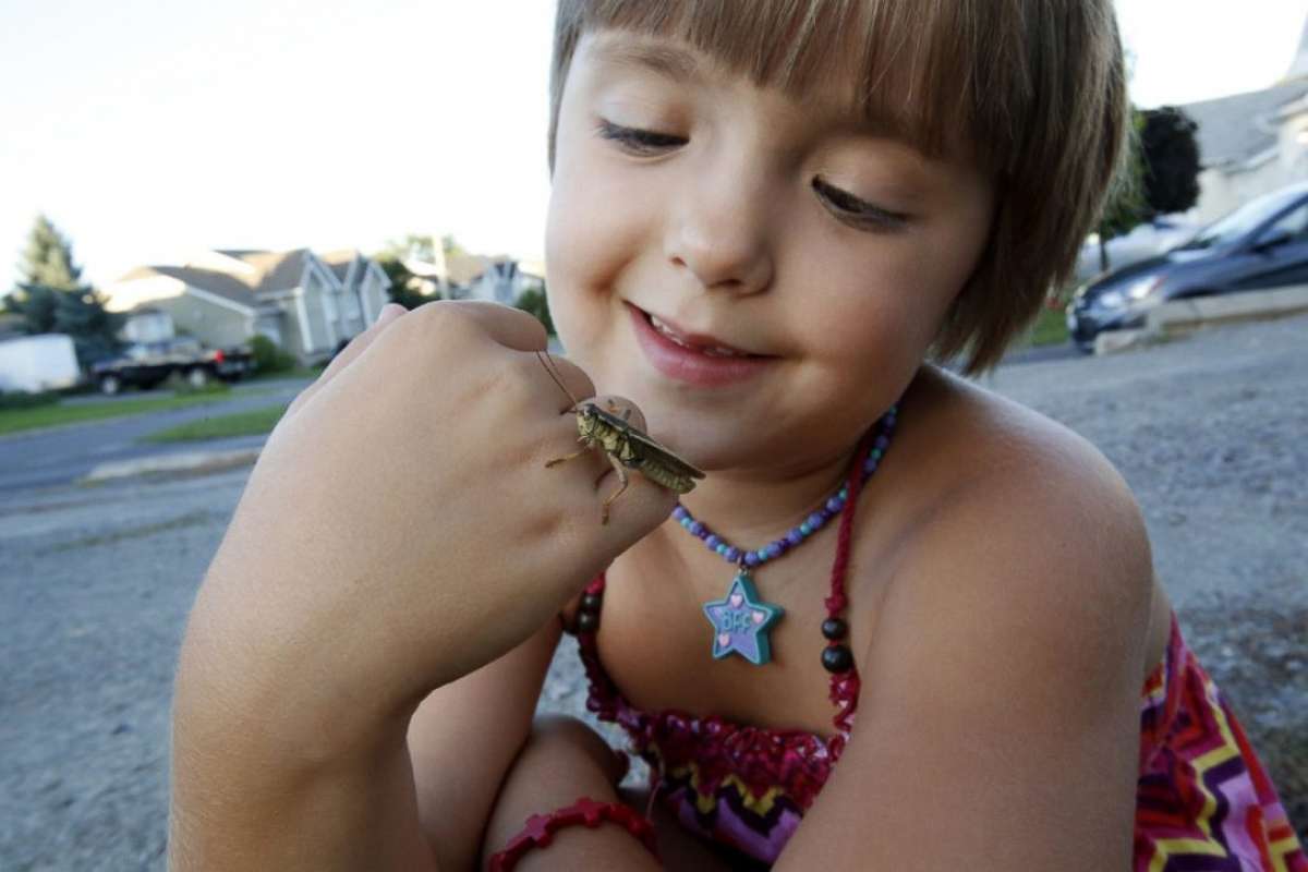 PHOTO: Sophia Spencer, 8, has been fascinated with bugs since the age of two.