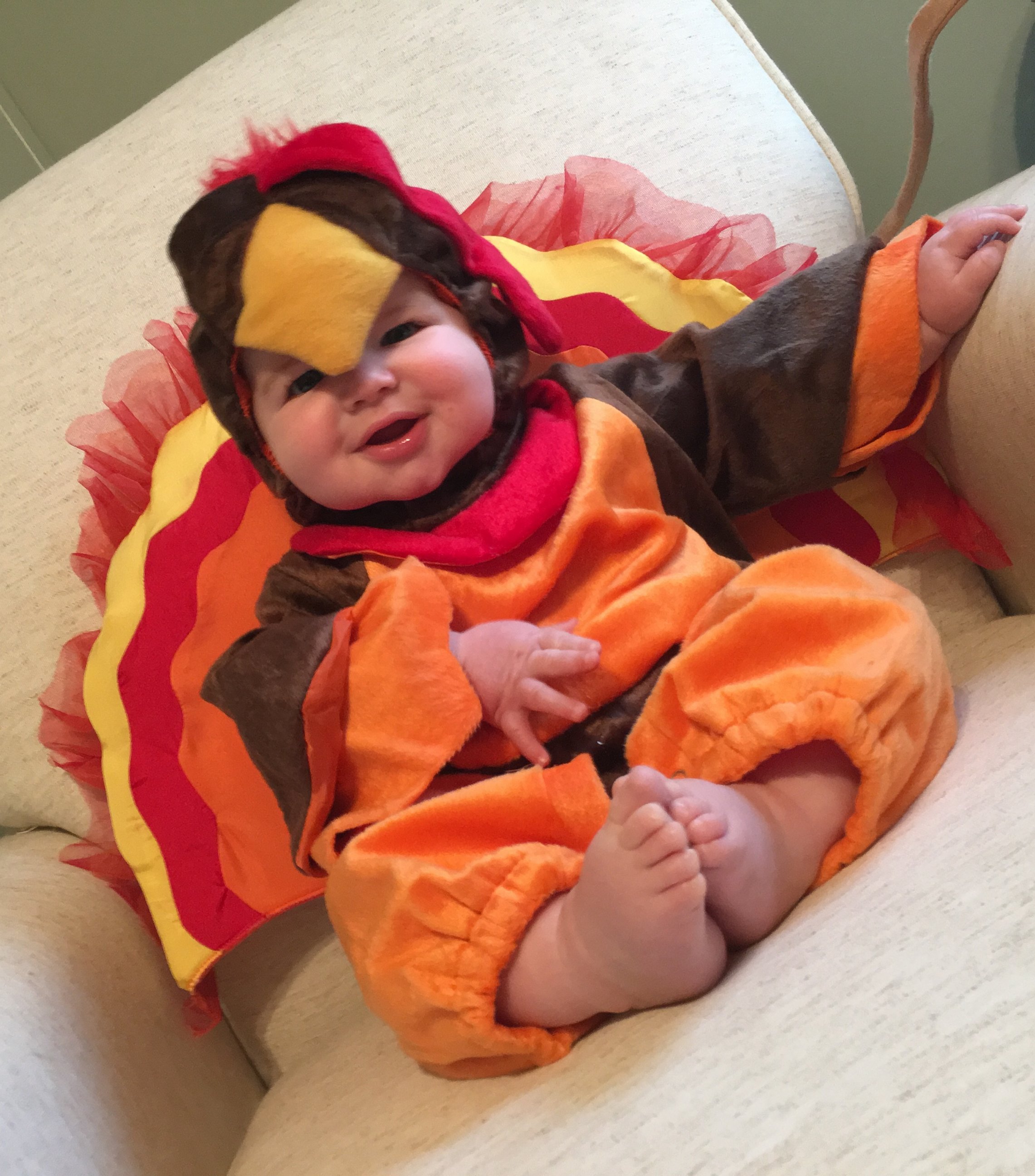 PHOTO: These babies are dressed to impress for Thanksgiving.