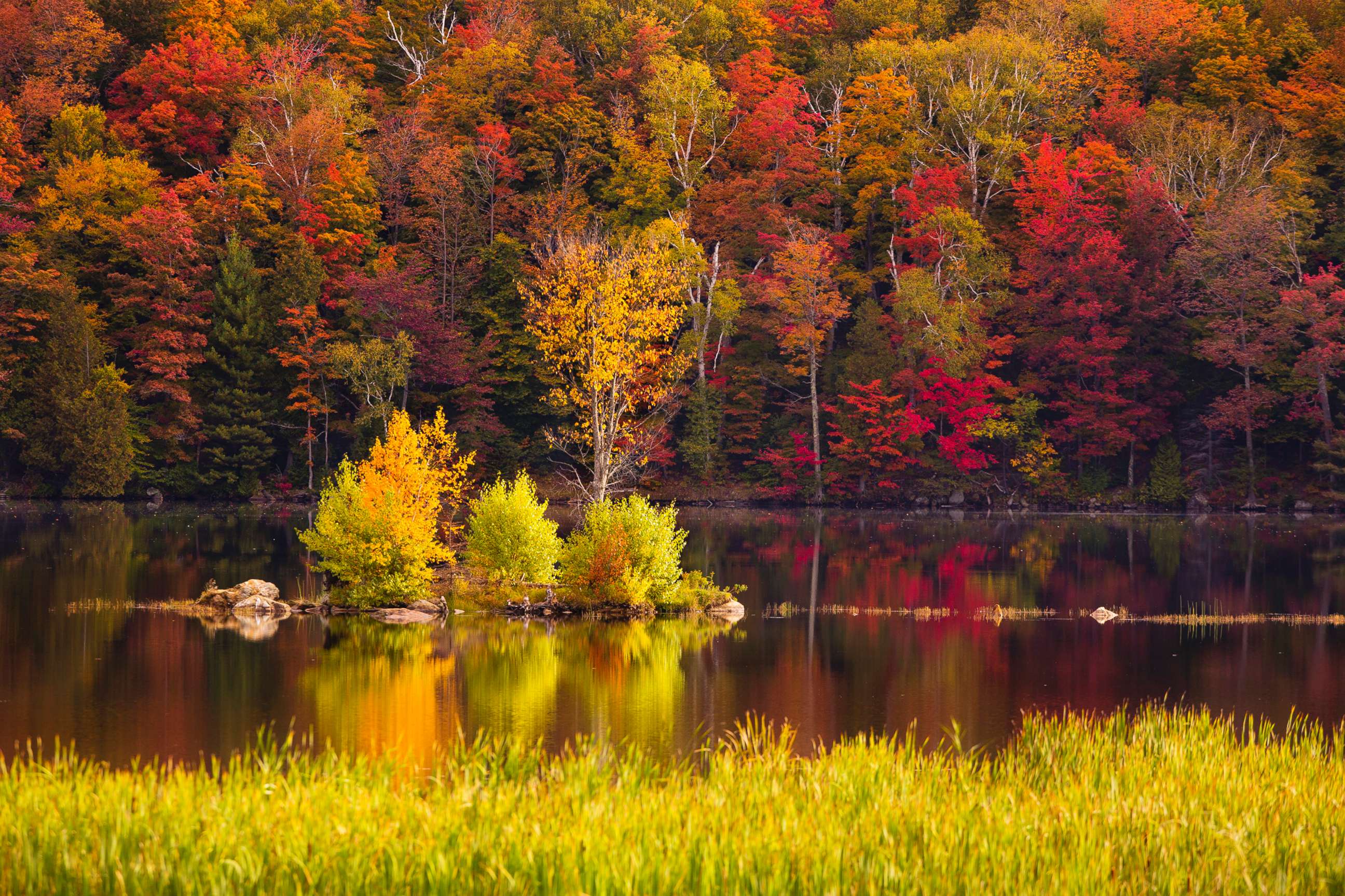 PHOTO: Foliage around Kent Pond in Killington, Vt. is pictured in this undated stock photo.