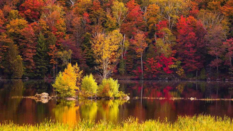 PHOTO: Foliage around Kent Pond in Killington, Vt. is pictured in this undated stock photo.