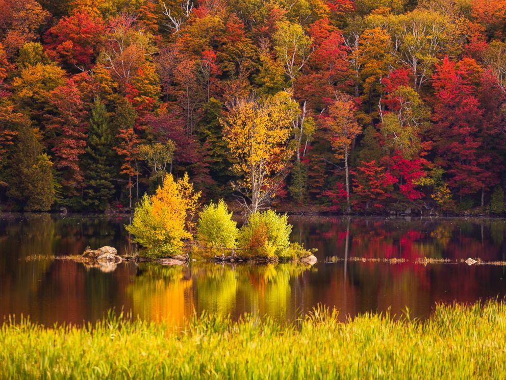PHOTO: Foliage around Kent Pond in Killington, Vt. is pictured in this undated stock photo.