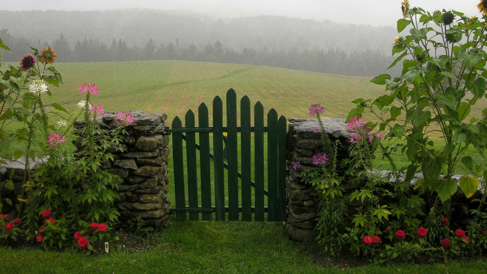 PHOTO: Summer flowers along a stone garden wall with wooden green picket gate leading to a green hillside field in Ripton, Vermont are pictured this undated stock photo.