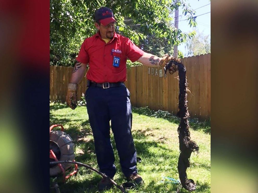 PHOTO: This extremely thick mass was discovered in a drain in Washington state.