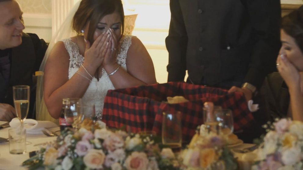 PHOTO: A bride in Scotland was surprised by her groom with a Westie puppy.