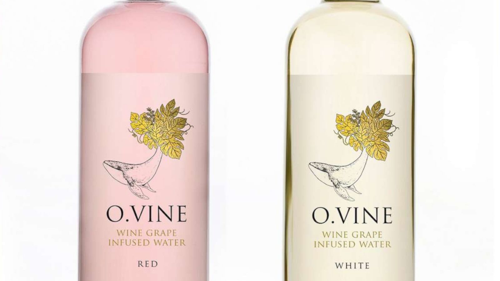 PHOTO: O.Vine is a non-alcoholic beverage perfect for the summer.