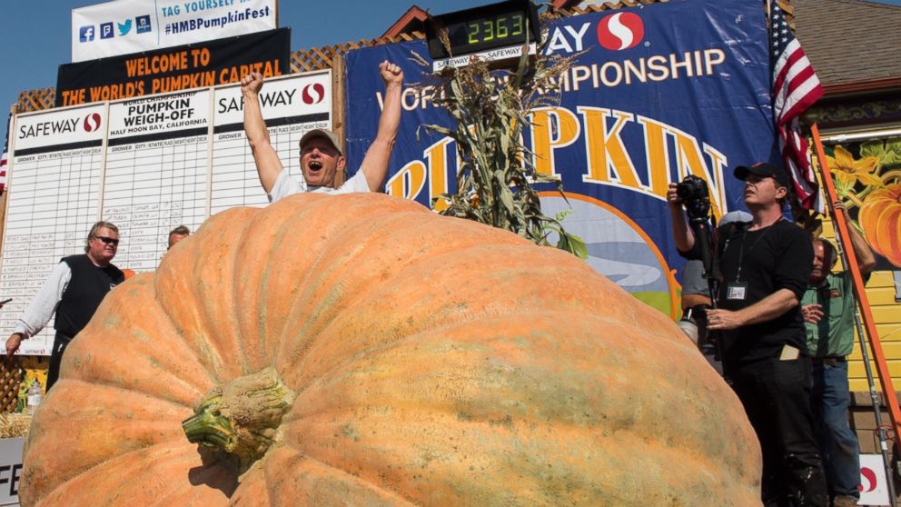 PHOTO: Joel Holland won the Safeway World Championship Pumpkin Weigh-off in Half Moon Bay,  Calif. with a 2,363-pound pumpkin.