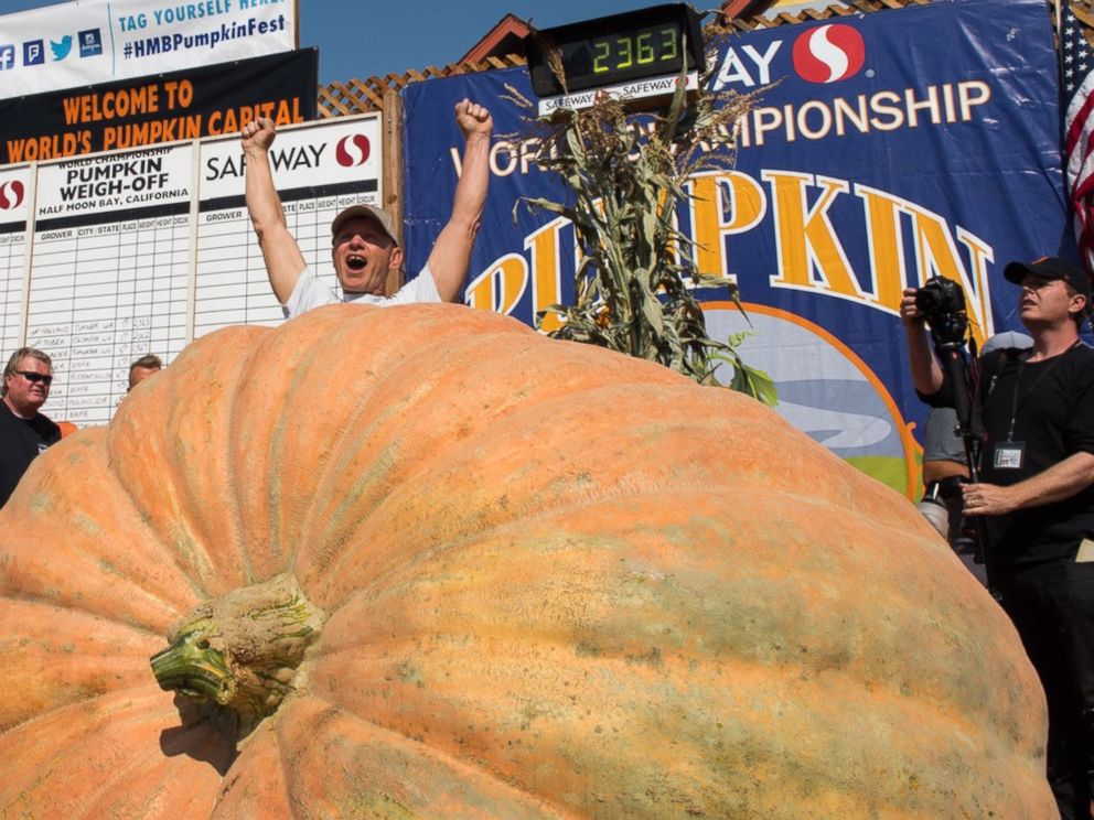 PHOTO: Joel Holland won the Safeway World Championship Pumpkin Weigh-off in Half Moon Bay, Calif. with a 2,363-pound pumpkin.