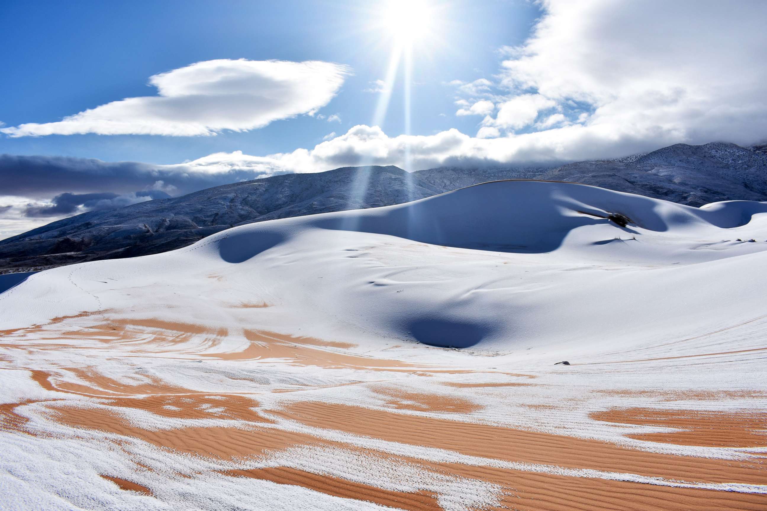 Cold desert. Снежная пустыня. Холодные пустыни. Зимняя пустыня. Заснеженная пустыня.