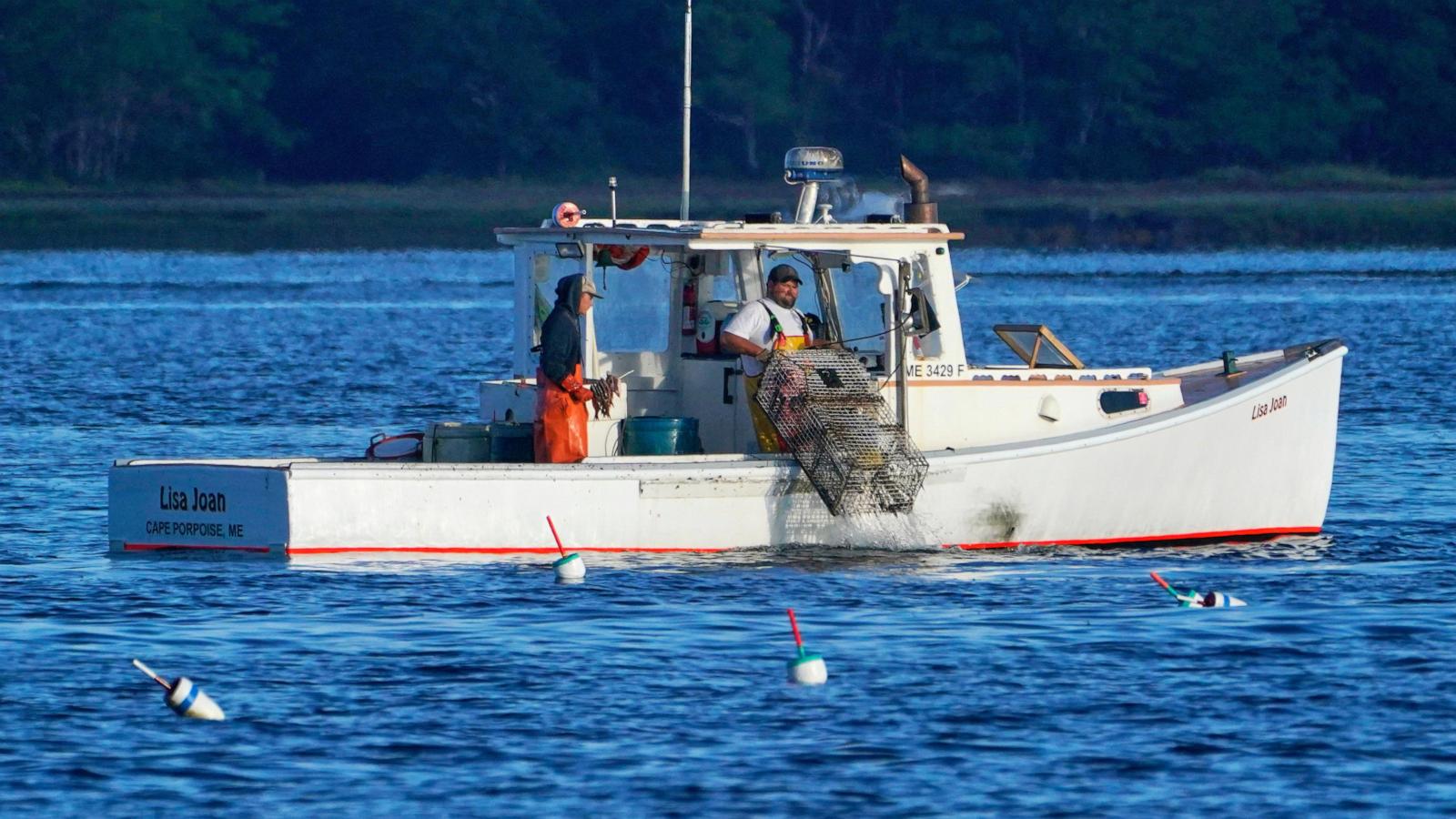 Consumers are lost at sea as seafood sustainability grows more complex