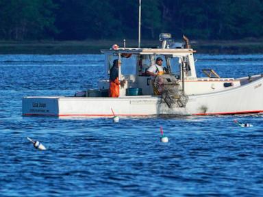 The Seafood Sustainability Labels Are Broken and What You Can Actually Do About It