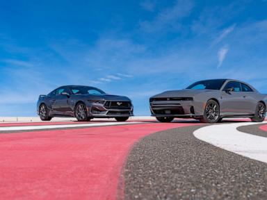 The V8 Is a Luxury Handbag Why Enthusiasts Are Buying Performance All Wrong