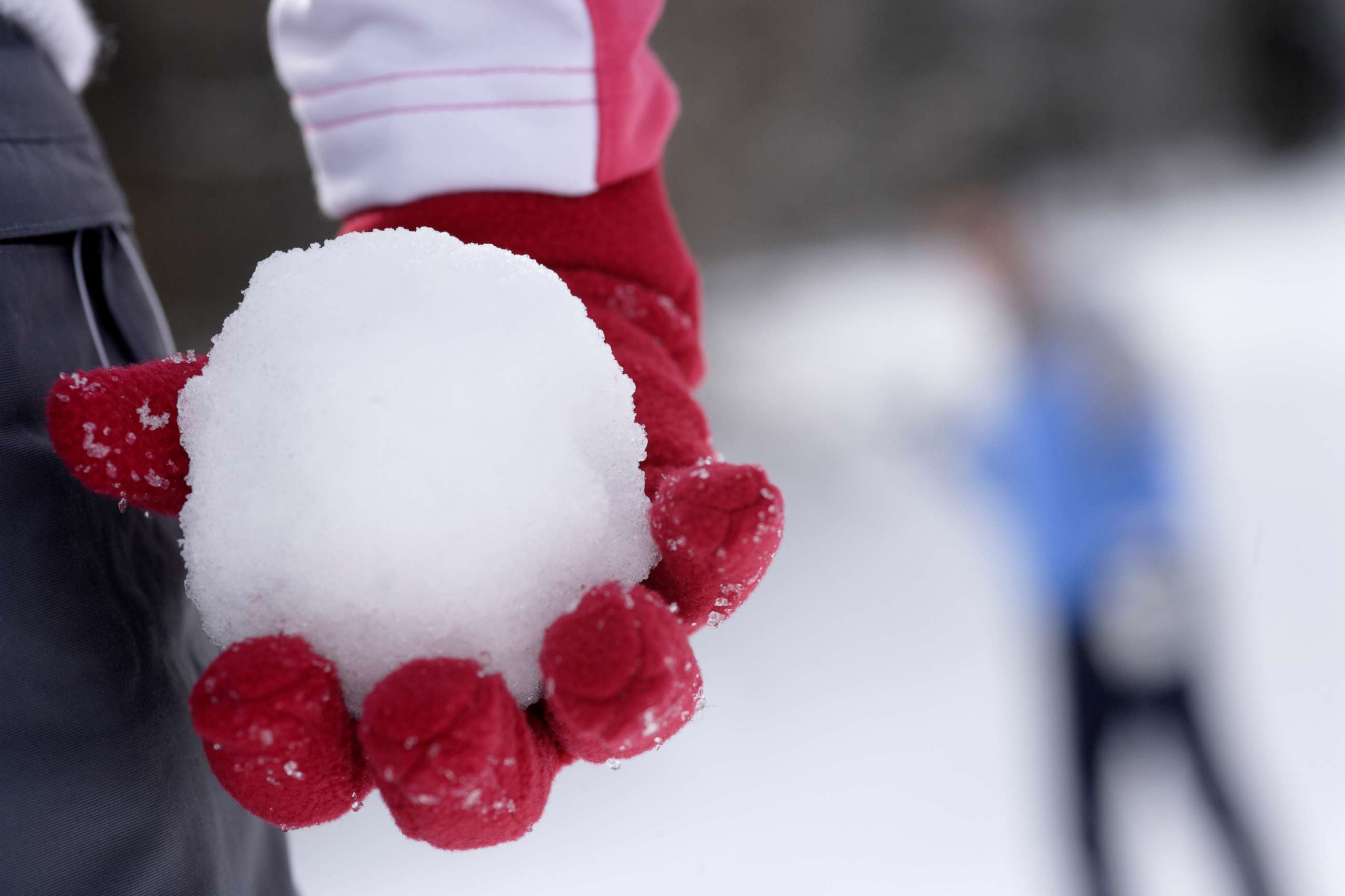PHOTO: A person holds a snowball in this stock photo.