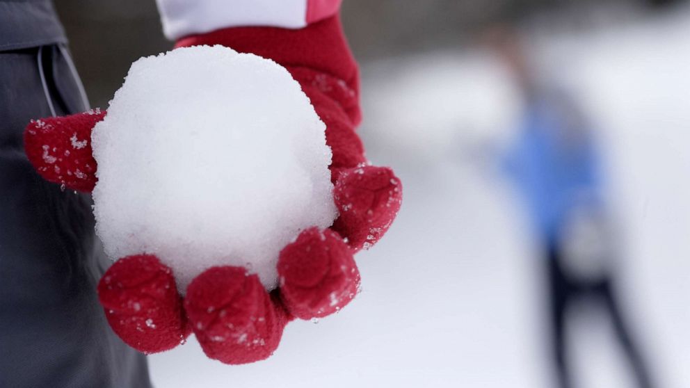 Driver shoots children who threw snowballs at car