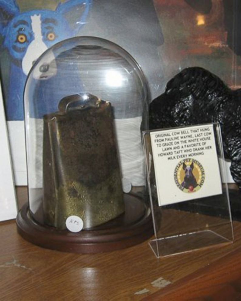 PHOTO: A photo of the exhibit featuring Pauline Wayne Taft's cowbell, donated by the nephew of a White House guard. Pauline was the last cow to graze at the White House and supplied fresh milk and butter to the Taft family.
