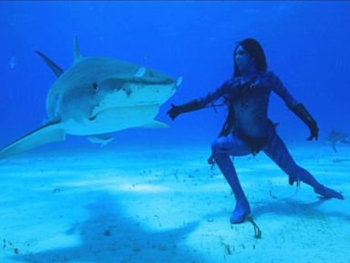 'Mermaid' Dances with Sharks