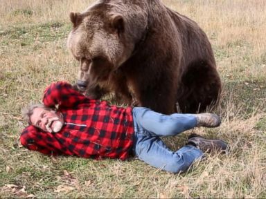 The Best Way to Survive a Bear Encounter