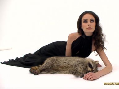 VIDEO: 'Nightline on Fusion': Roadkill to Fashion Fur