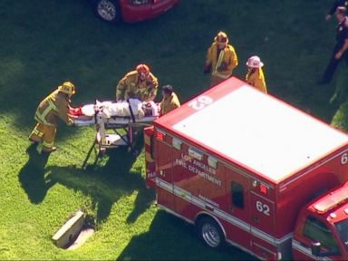 Harrison Ford Injured in California Small Plane Crash