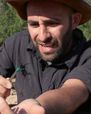 VIDEO: This Man's Full-Time Job Includes Being Intentionally Bitten by Terrifying Animals